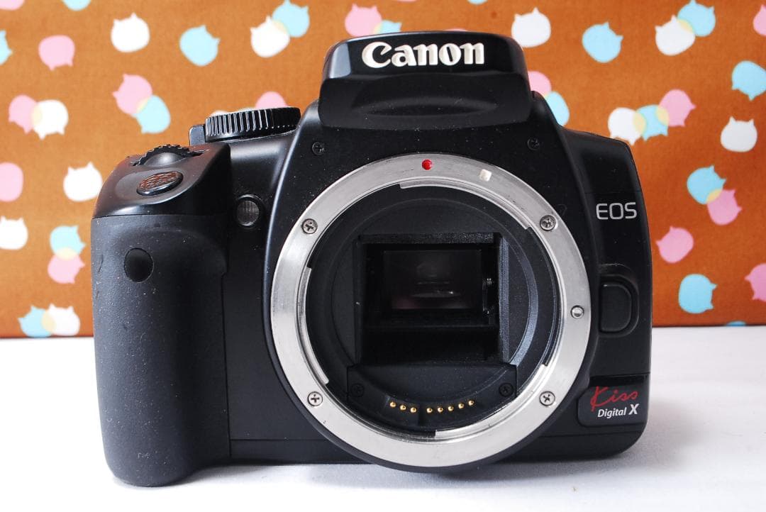 ✨超豪華セット✨元箱付き✨Canon Kiss Digital X レンズセット