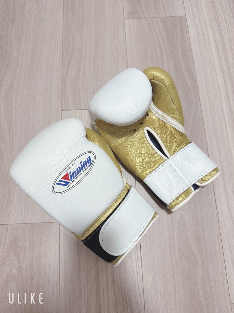 Winning ボクシンググローブ ホワイト/ゴールド