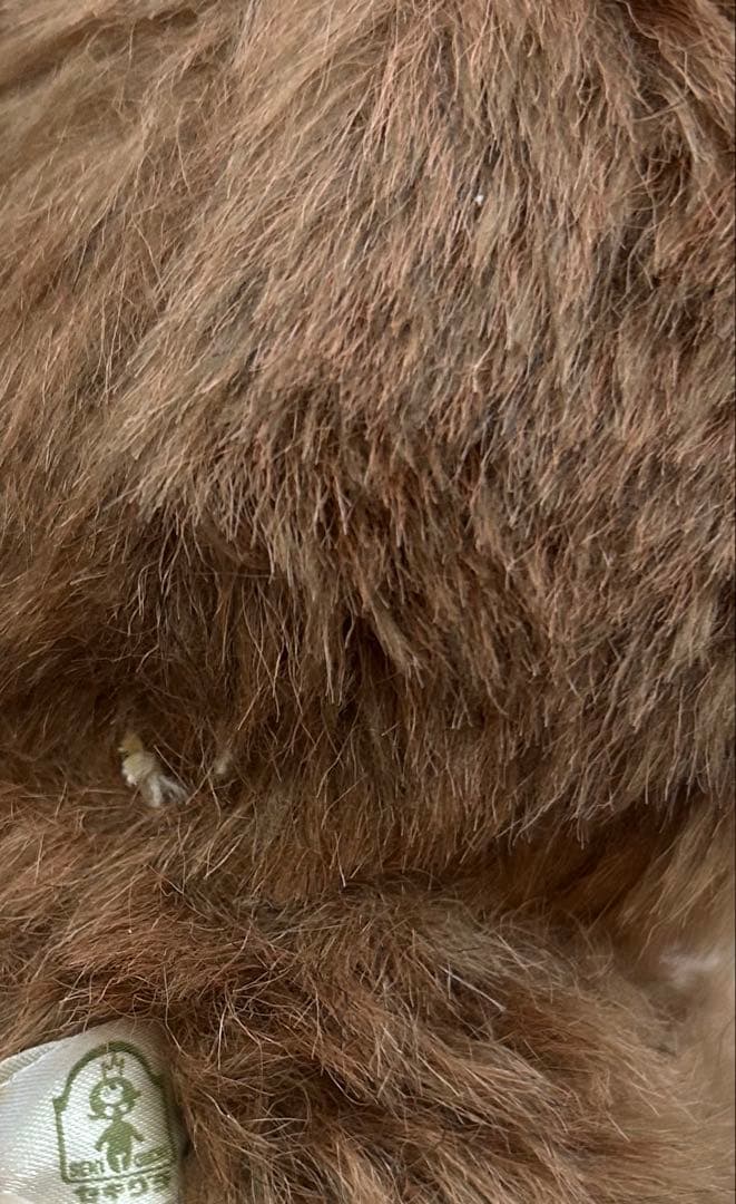 昭和レトロ　モンチッチ　タヌタヌ　セキグチ　レインボー