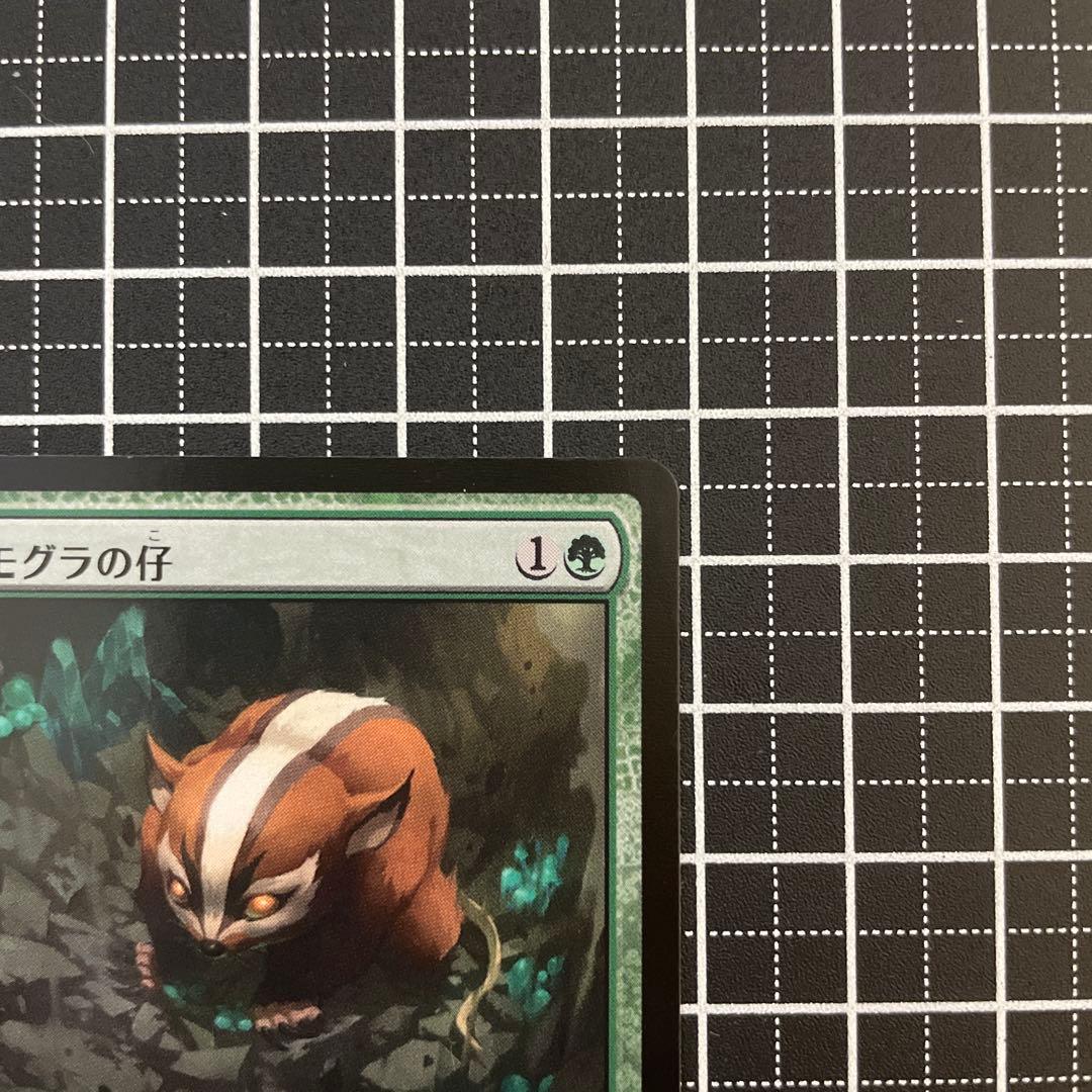 アナグマモグラの仔/Badgermole Cub