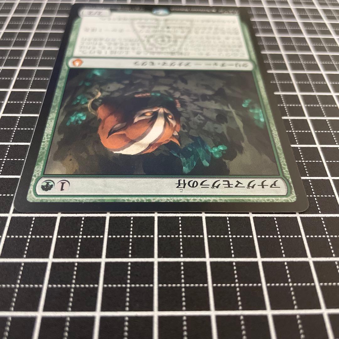 アナグマモグラの仔/Badgermole Cub