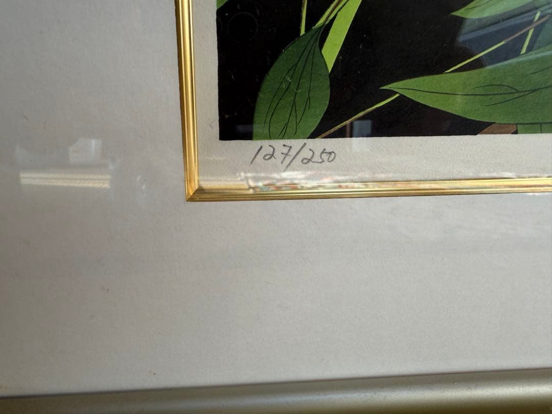 中島千波 牡丹 127/250