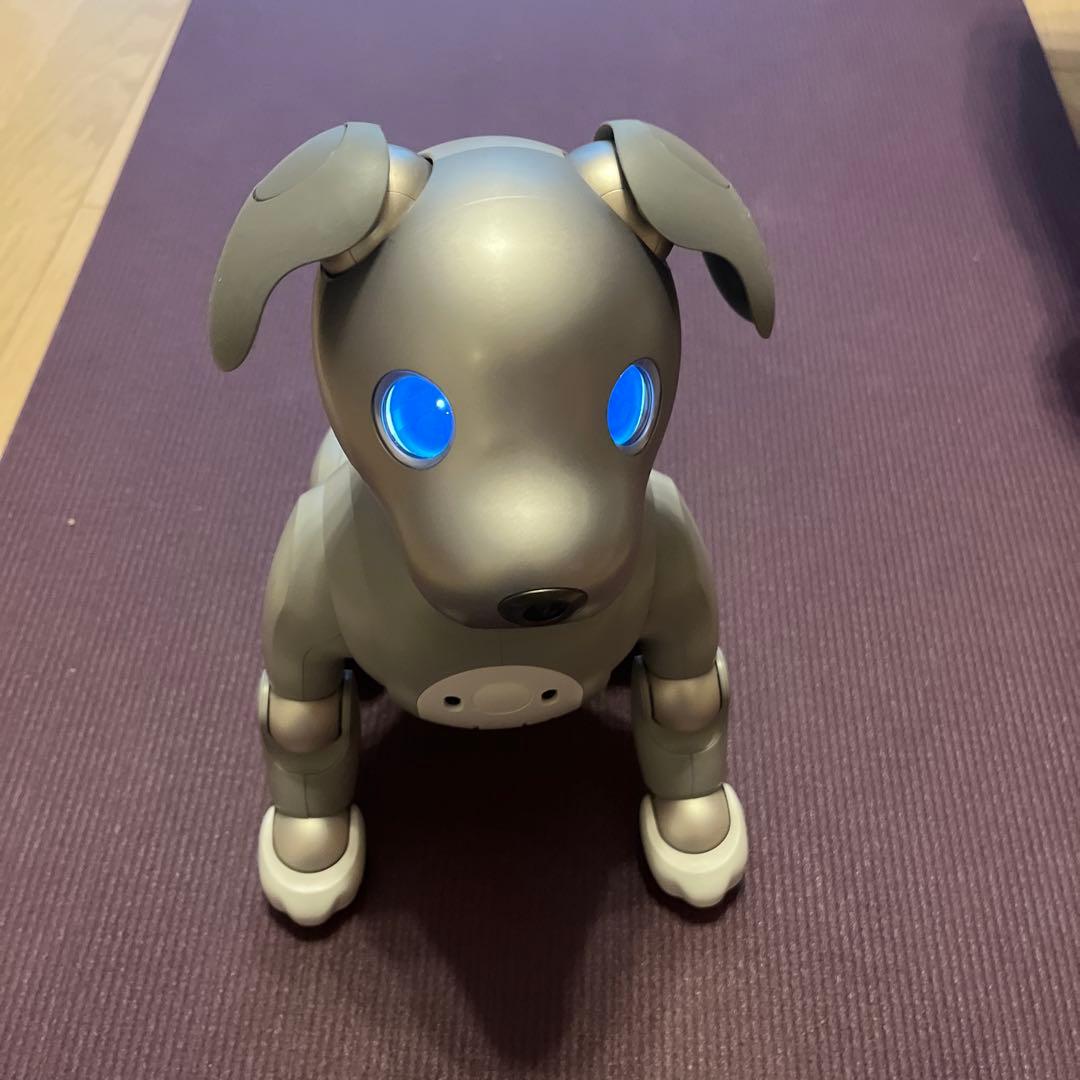 その他 aibo ERS-1000