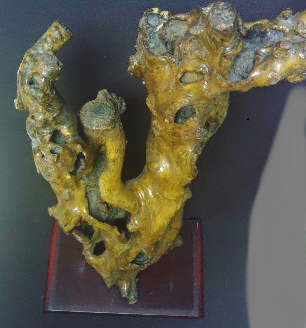 天然木　オブジェ　流木アート　大型　飾り台　置物　花台　店舗　高さ約79cm