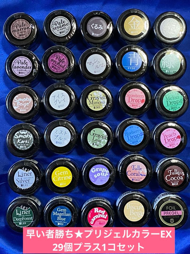 早い者勝ち★プリジェルカラーEX 29個プラス1コセット