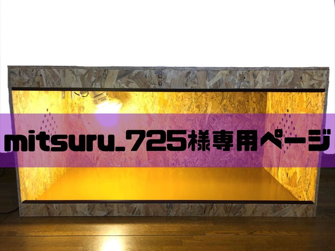 mitsuru_725ページ