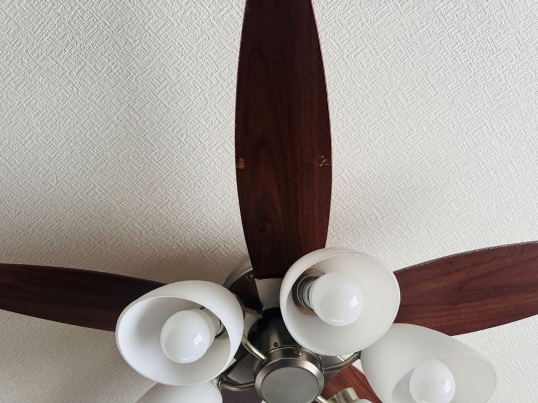 直接引き取り　シーリングファン 電球なし　ダークウッド 6灯