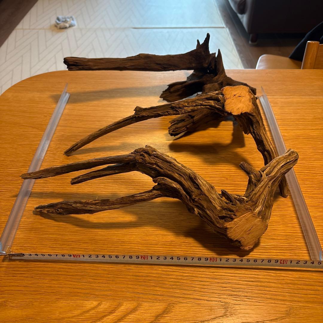 【早い者勝ち】ADA流木3本、他流木2本