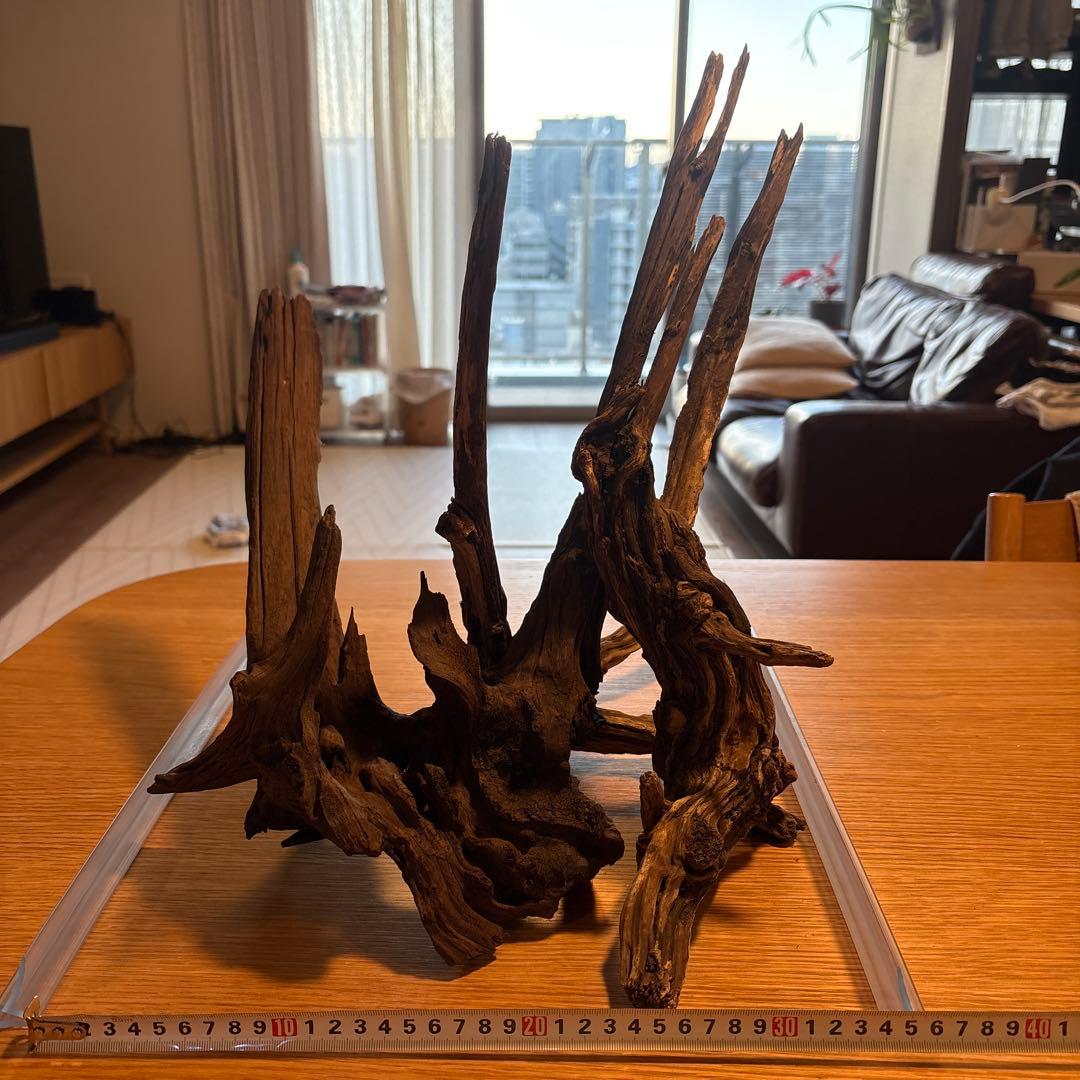 【早い者勝ち】ADA流木3本、他流木2本