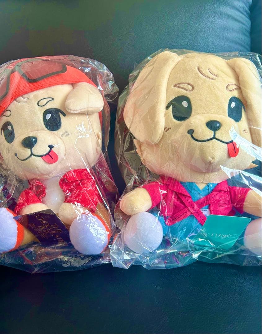 【未開封タグ付き】三代目JSB岩田剛典　ぬいぐるみ　ロッキー