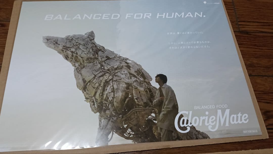 米津玄師 カロリーメイト ポスター、クリアファイル