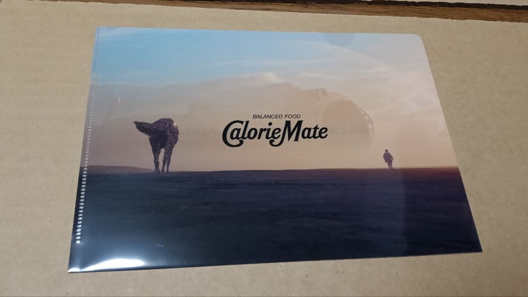 米津玄師 カロリーメイト ポスター、クリアファイル