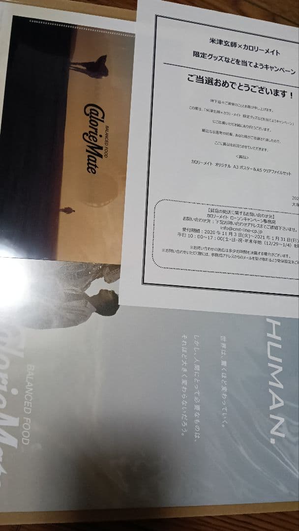 米津玄師 カロリーメイト ポスター、クリアファイル