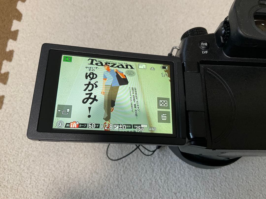 LUMIX デジタル一眼レフ FZ-1000MS LEICAレンズ付き,