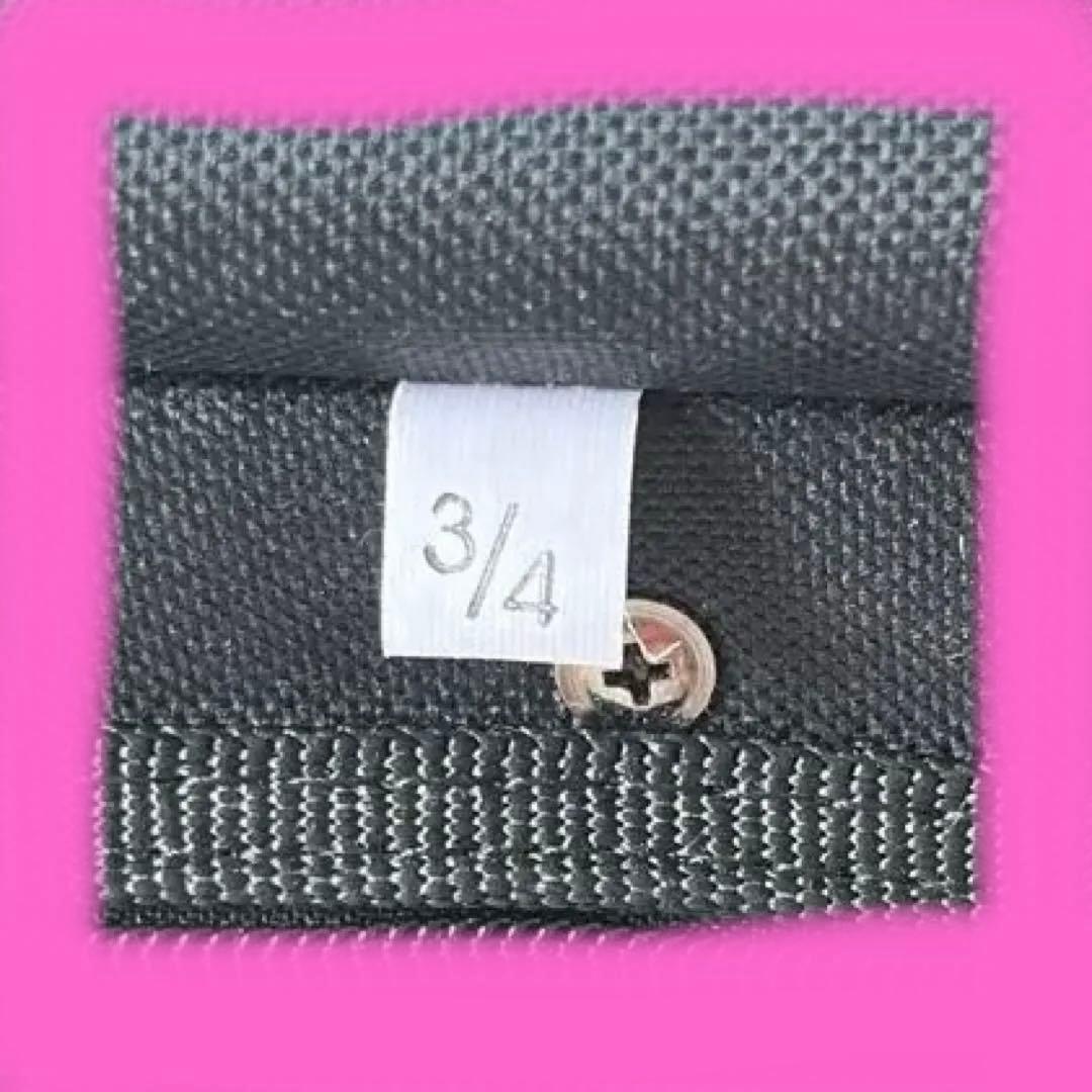 【美品】カルロジョルダーノ　バイオリンセット　VS-1　3/4