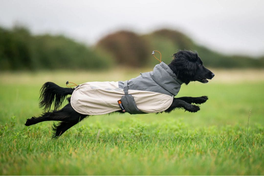 Glacier wool jacket 3.0 極寒地用高機能犬用ジャケット