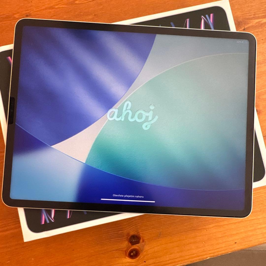 iPad Pro 12.9 シルバー 第6世代 256GB Wi-Fi