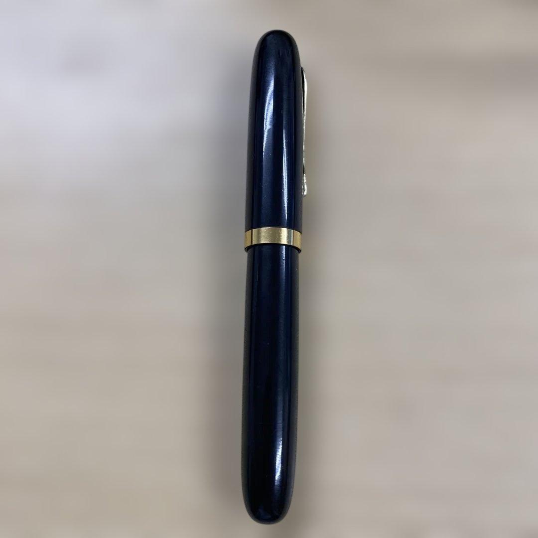 ヴィンテージ BELIEVE BEST IRIDOSUMIN刻印 万年筆