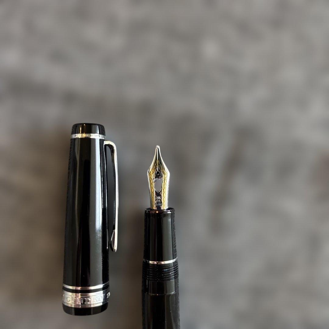 セーラー　プロフェッショナルギア 21K ズーム 万年筆