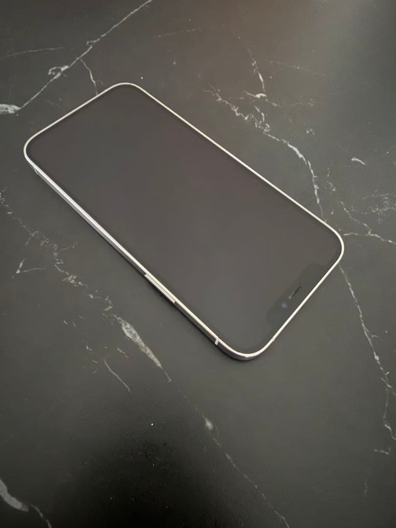 iPhone12 Pro 256GB シルバー