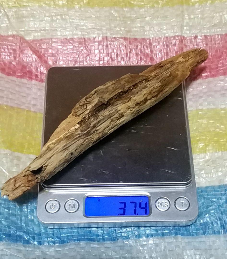 骨董品　天然　香木　伽羅原木　沈香　フィリピン