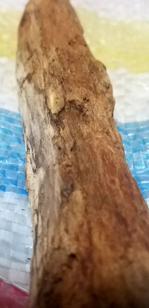 骨董品　天然　香木　伽羅原木　沈香　フィリピン