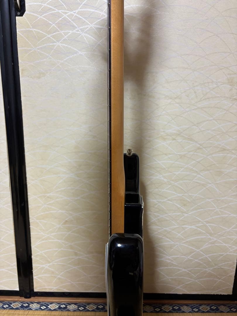 Fender Player Ⅱ Stratocaster