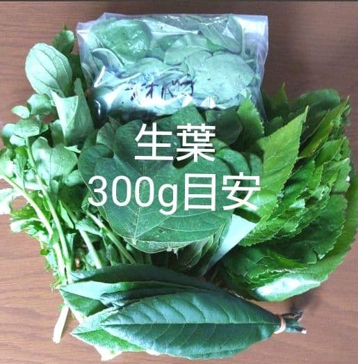 生葉/乾燥葉 ★セミオーダーページ★ ウサギ ハムスター リクガメ さん他