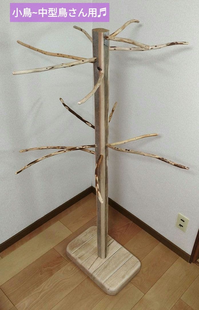 【小鳥〜中型鳥さん用】眺めのいい♬ゆったりバードスタンド