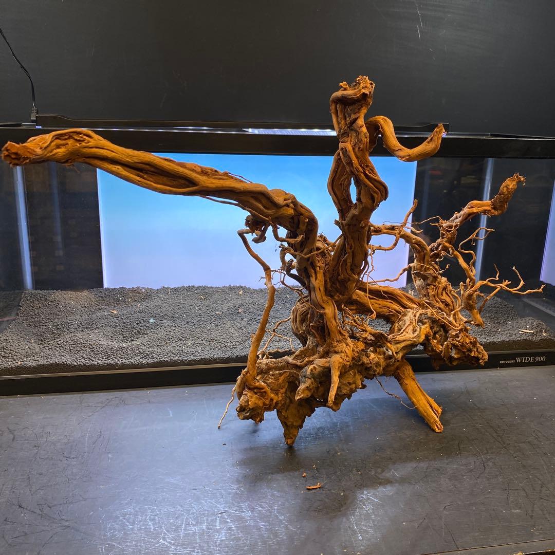 MTW-6356 蔦流木1点物　90cm水槽用流木　アクアリウム