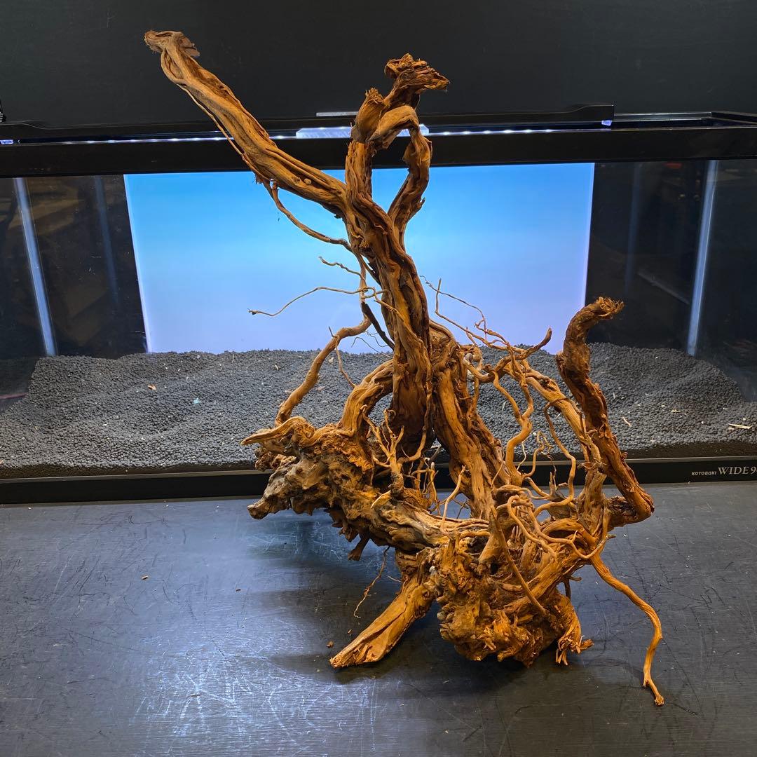 MTW-6356 蔦流木1点物　90cm水槽用流木　アクアリウム