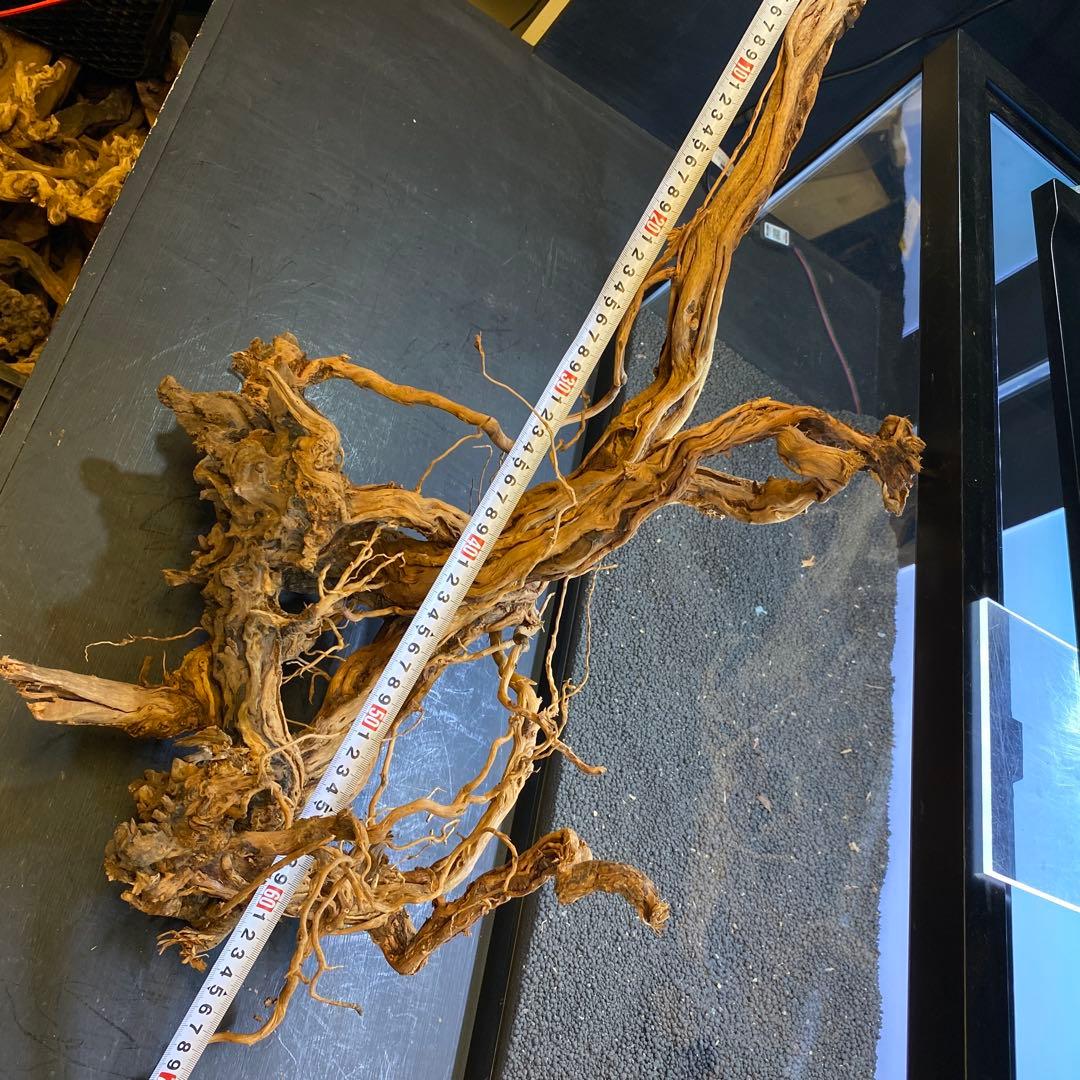 MTW-6356 蔦流木1点物　90cm水槽用流木　アクアリウム