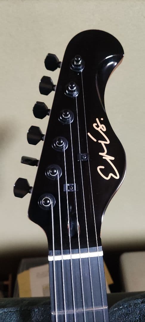 Eris. Nestia エレキギター