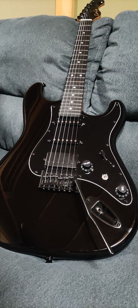 Eris. Nestia エレキギター