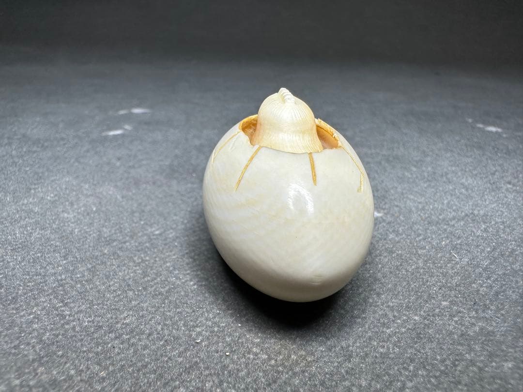 極上　根付　天然素材　アンティーク　和彫　置物　骨董　飾り物古美術品　細密細工