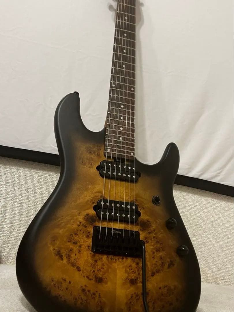 ギター Tsuyoshi Yamaguchi Richardson7