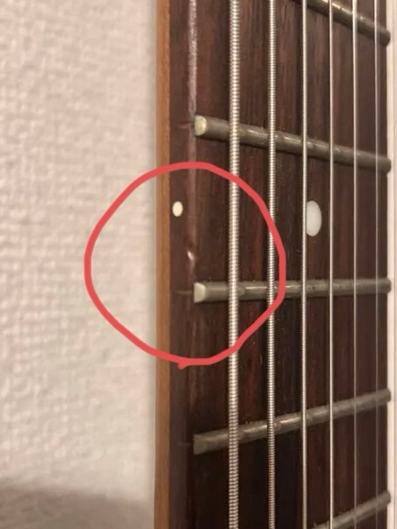 ギター Tsuyoshi Yamaguchi Richardson7