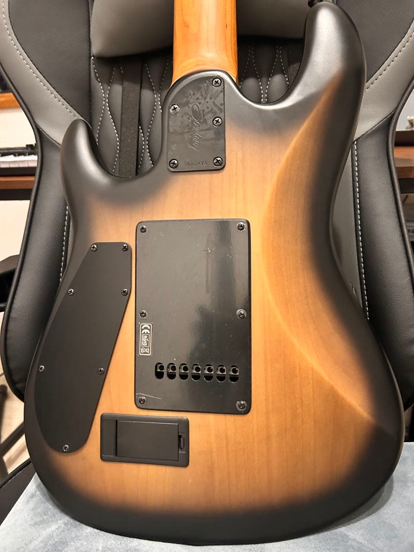 ギター Tsuyoshi Yamaguchi Richardson7