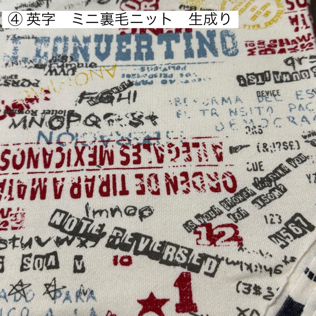 ⑲確認用ページ　ニット生地　ハンドメイド　犬服　フレブル　小型犬