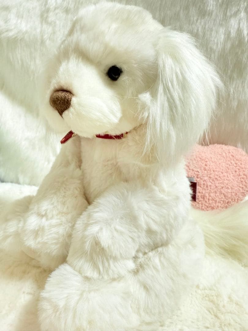 ☆ポンコポンコ☆ ☆チャーリーベアーズ☆ Spirit ☆美品♪