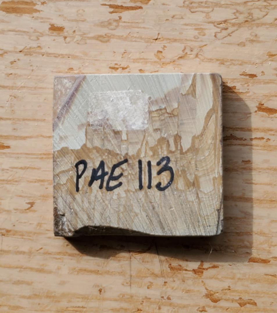 【コレクターズアイテム】パエジナストーン