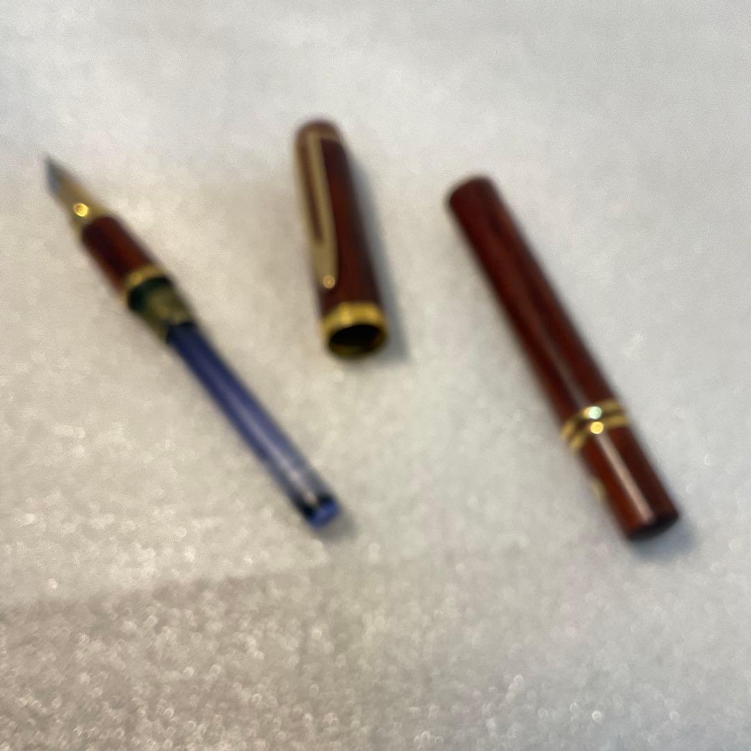 Waterman 万年筆 ウォーターマン　ル・マン100　ウッド　ペン先18K