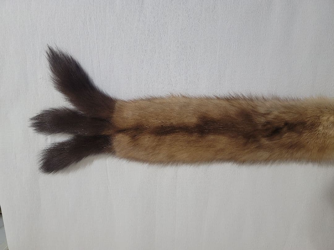 ロシアンセーブル マフラー ティペット ストール 超美品！ ゴールデンセーブル