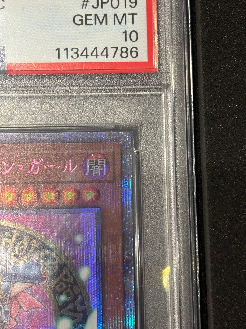 遊戯王OCG ブラックマジシャンガール 25th 特別版 イラスト違い