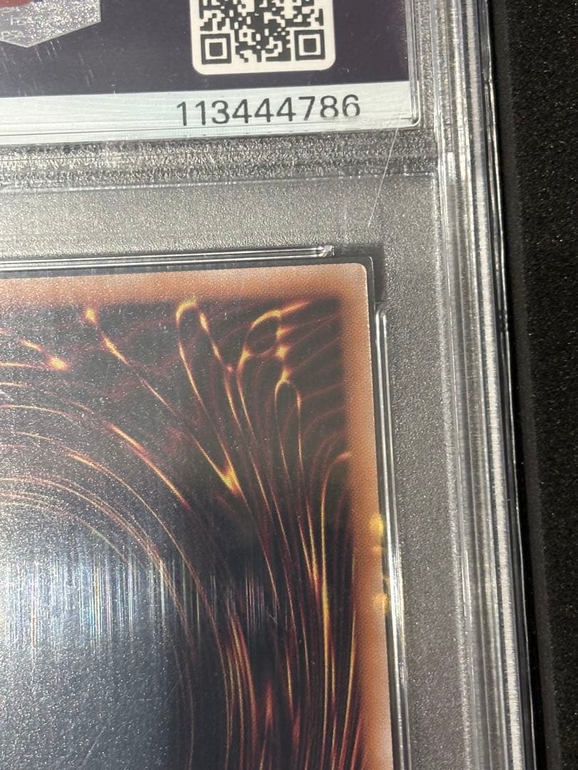 遊戯王OCG ブラックマジシャンガール 25th 特別版 イラスト違い