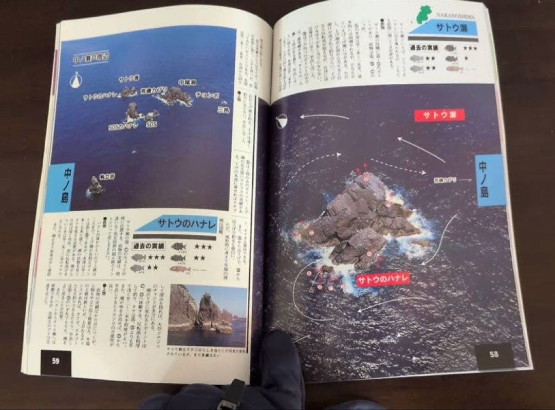 ［新品・未使用］ ザ・男女群島　完全活用マニュアル　ライトハウス出版