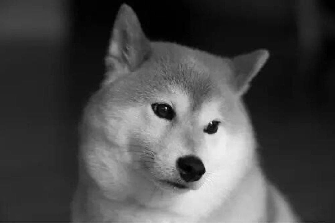 その他 NagasakiRZ