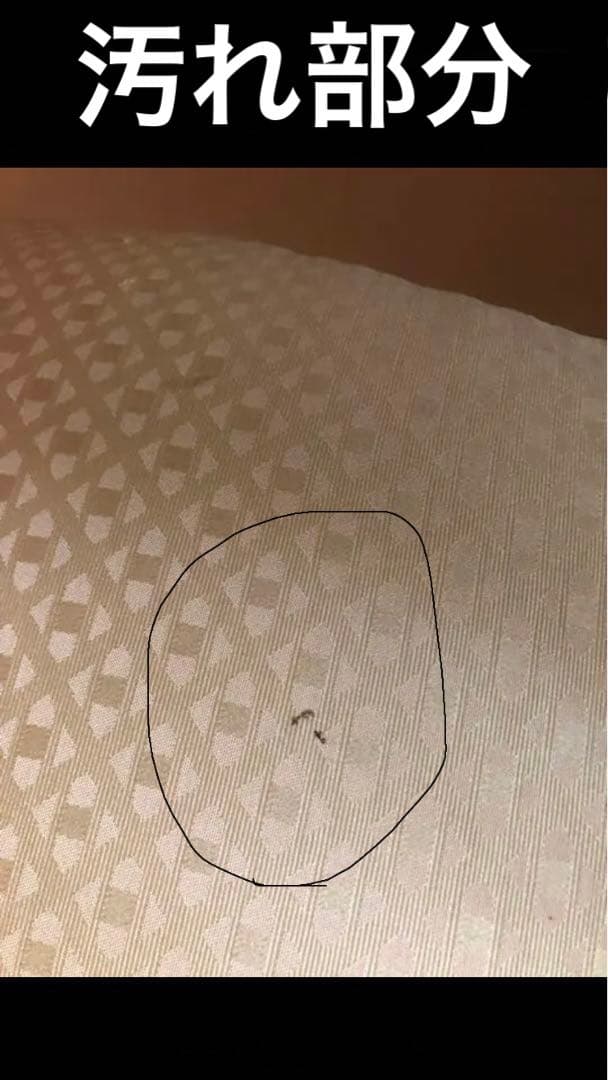 高品質♦️希少デザイン♦️ふわふわラタンシングルソファ♦️大きめゆったり♦️引き取り