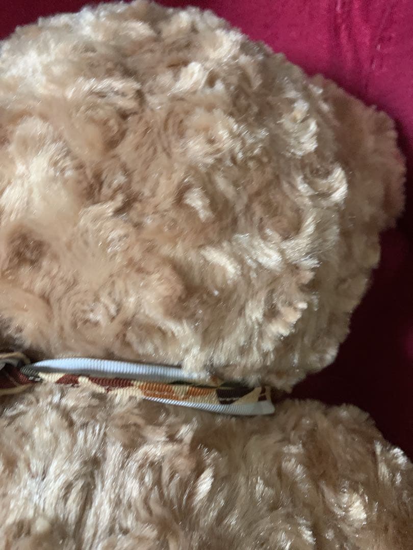 エクシブ箱根離宮オリジナルベア30cmレア　宿泊限定ベア