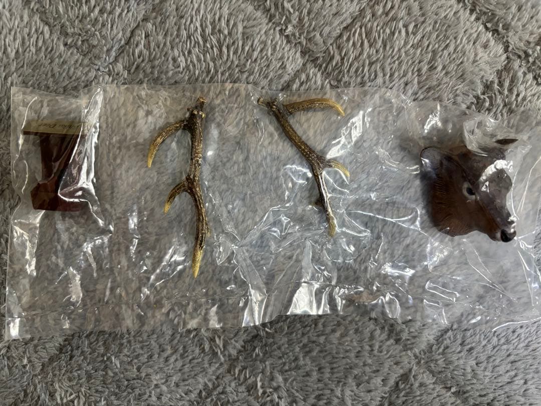 ハンティングトロフィー　シークレット　エゾシカ　ヘラジカ　ドールシープ　骨格標本
